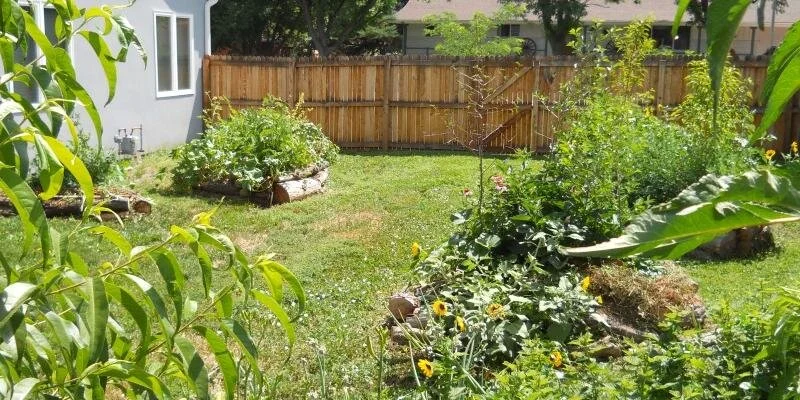 Growing Our Own: More Than A Lifestyle Choice