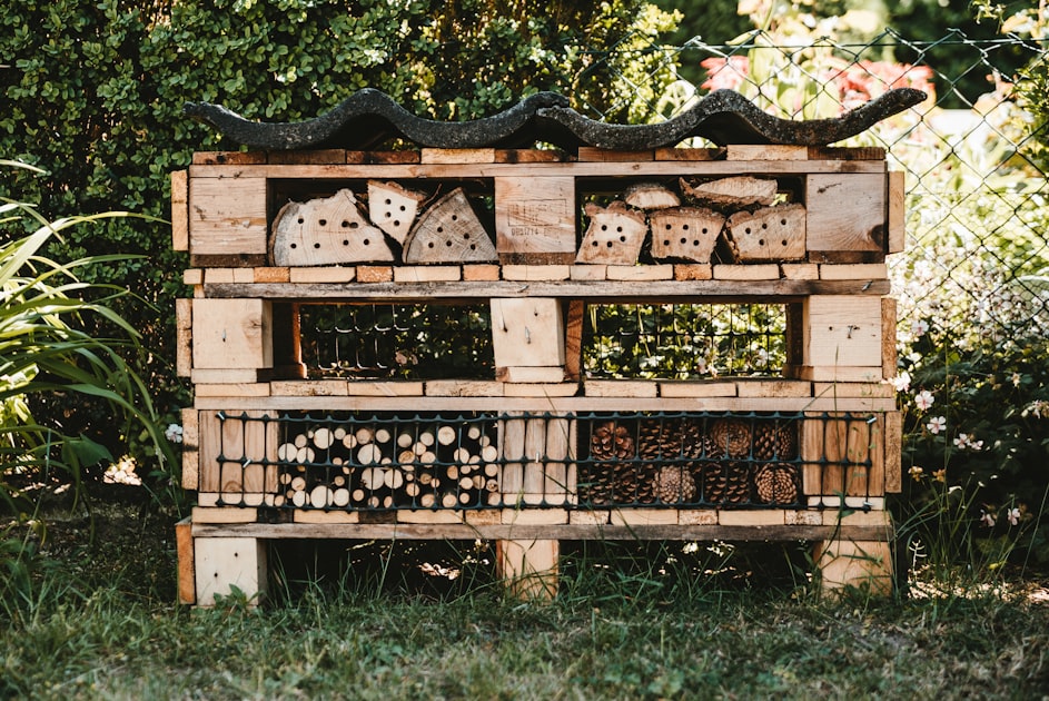 Creating Pollinator Friendly Habitats