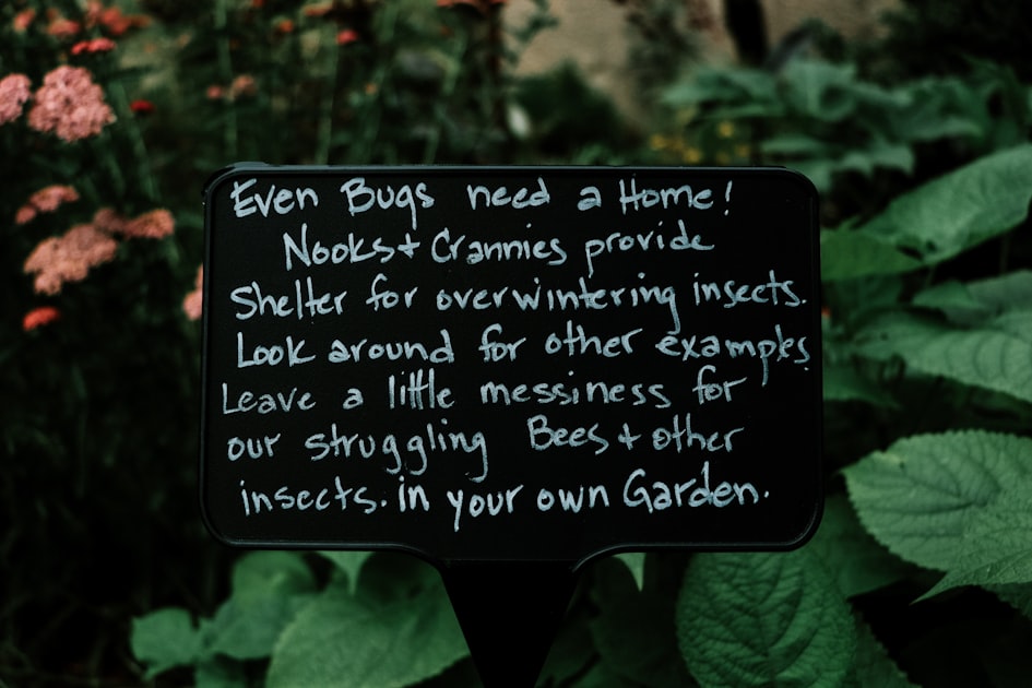 Community Gardening Initiatives