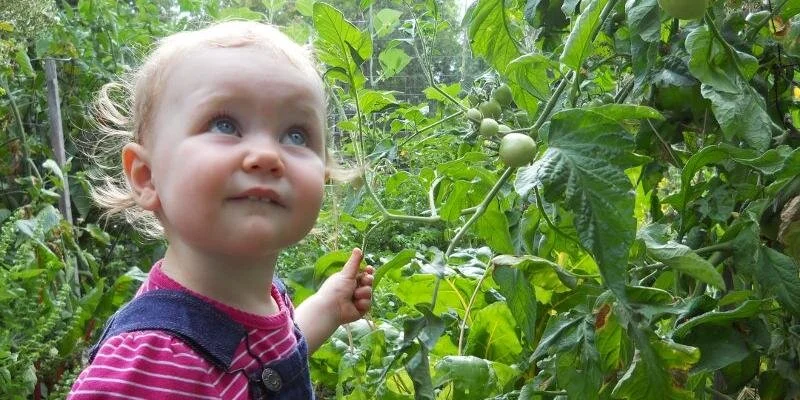 A Garden for Our Grandchildren