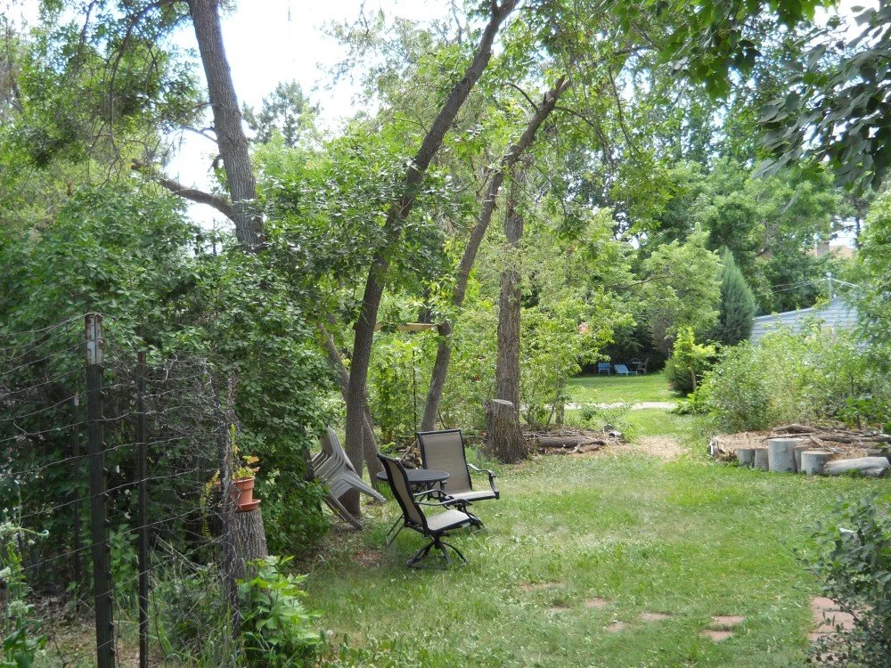 A guild to support a semi-dwarf apple tree
