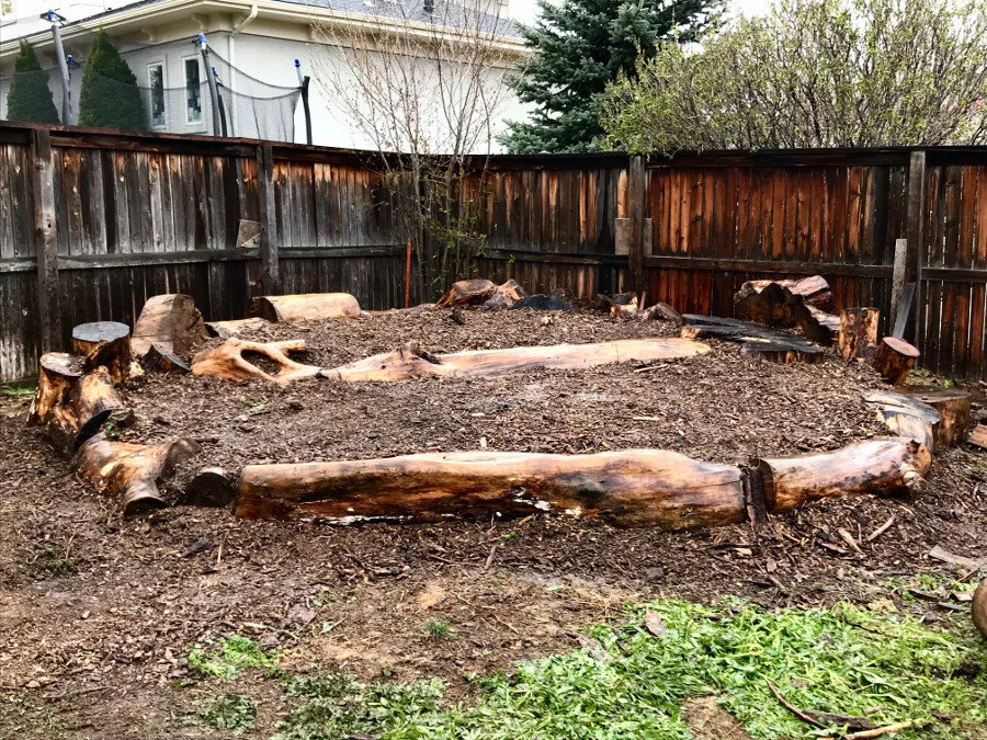The Early Stages of Your New Garden