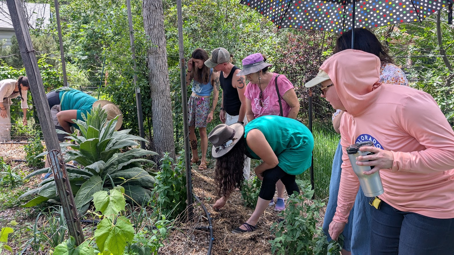 Join us on the LSI Garden Tour! Sunday July 26th 10am-1pm